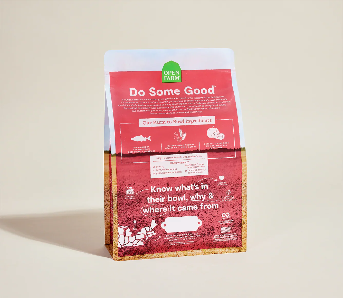 Salmon & Ancient Grains Dog Food with Superfoods