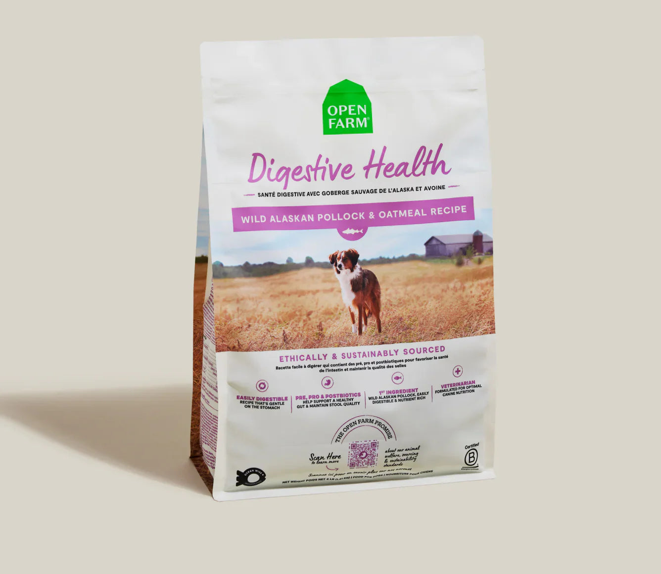 Sensitive Stomach Dog Food with Wild Alaskan Pollock, Oatmeal & Pumpkin