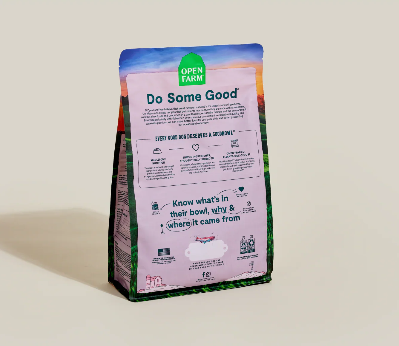 Oven-Baked Salmon & Brown Rice Dog Food with Wholesome Grains