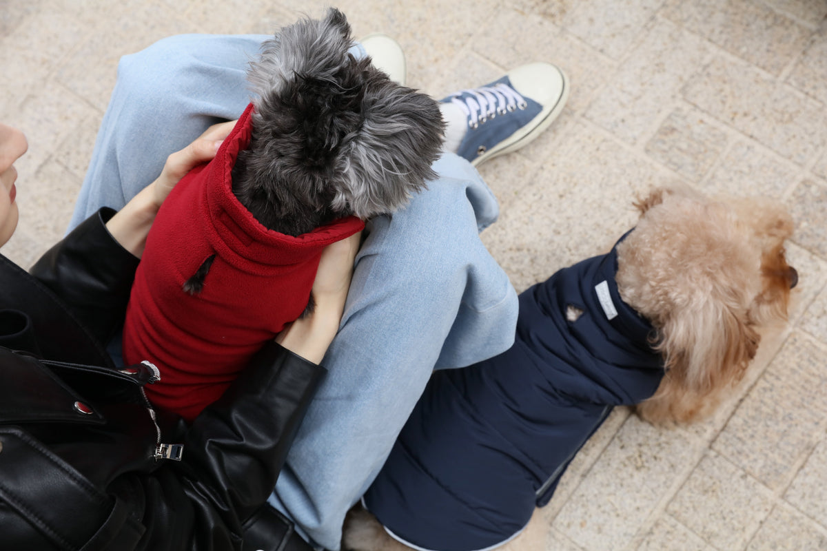 Reversible Dog Jacket with Fleece Lining and Reflective Trim