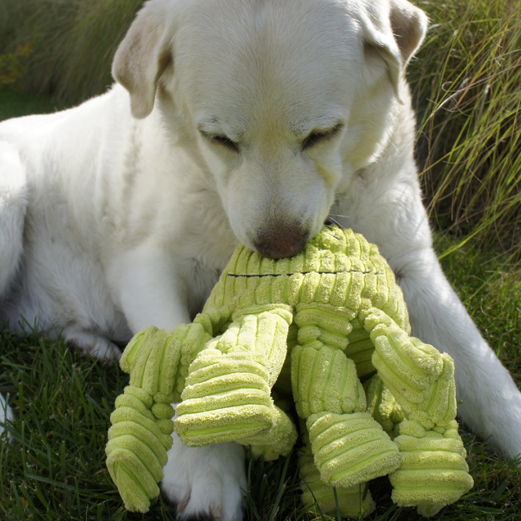 Octavie the Octopus Knottie® Plush Dog Toy – Large Octo Green