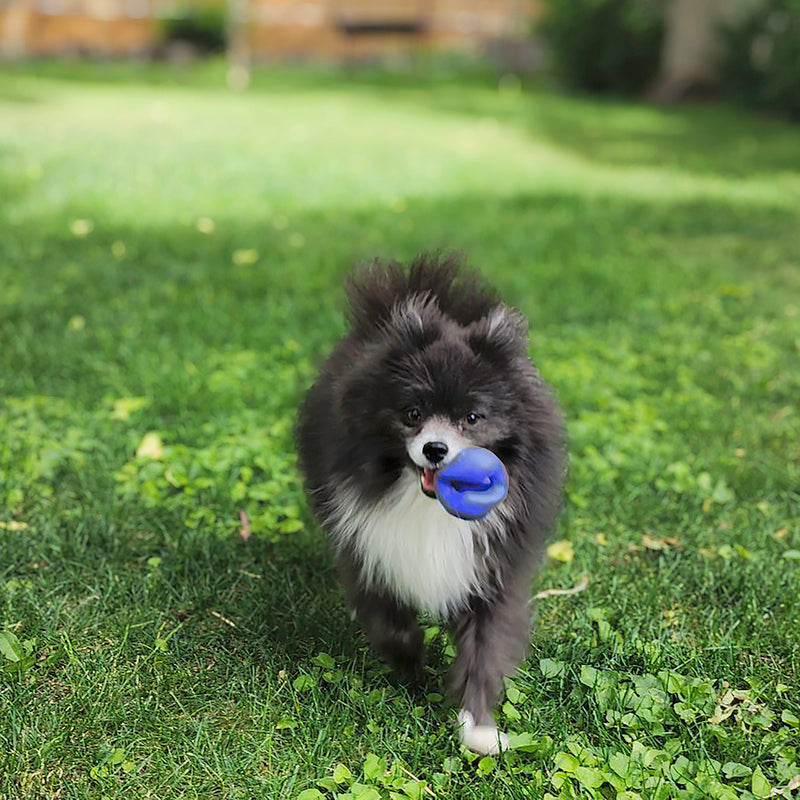 KONG Ogee Orb Floating Dog Ball for Fetch and Water Play