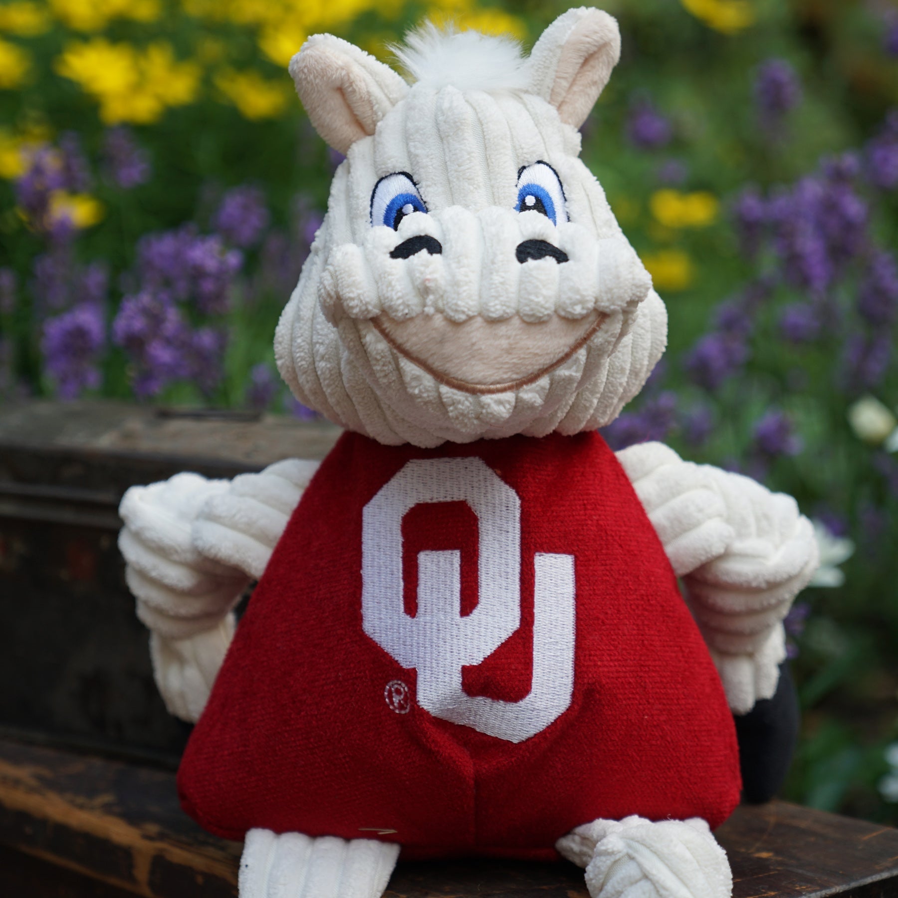 University of Oklahoma Sooner Knottie Plush Dog Toy, Large