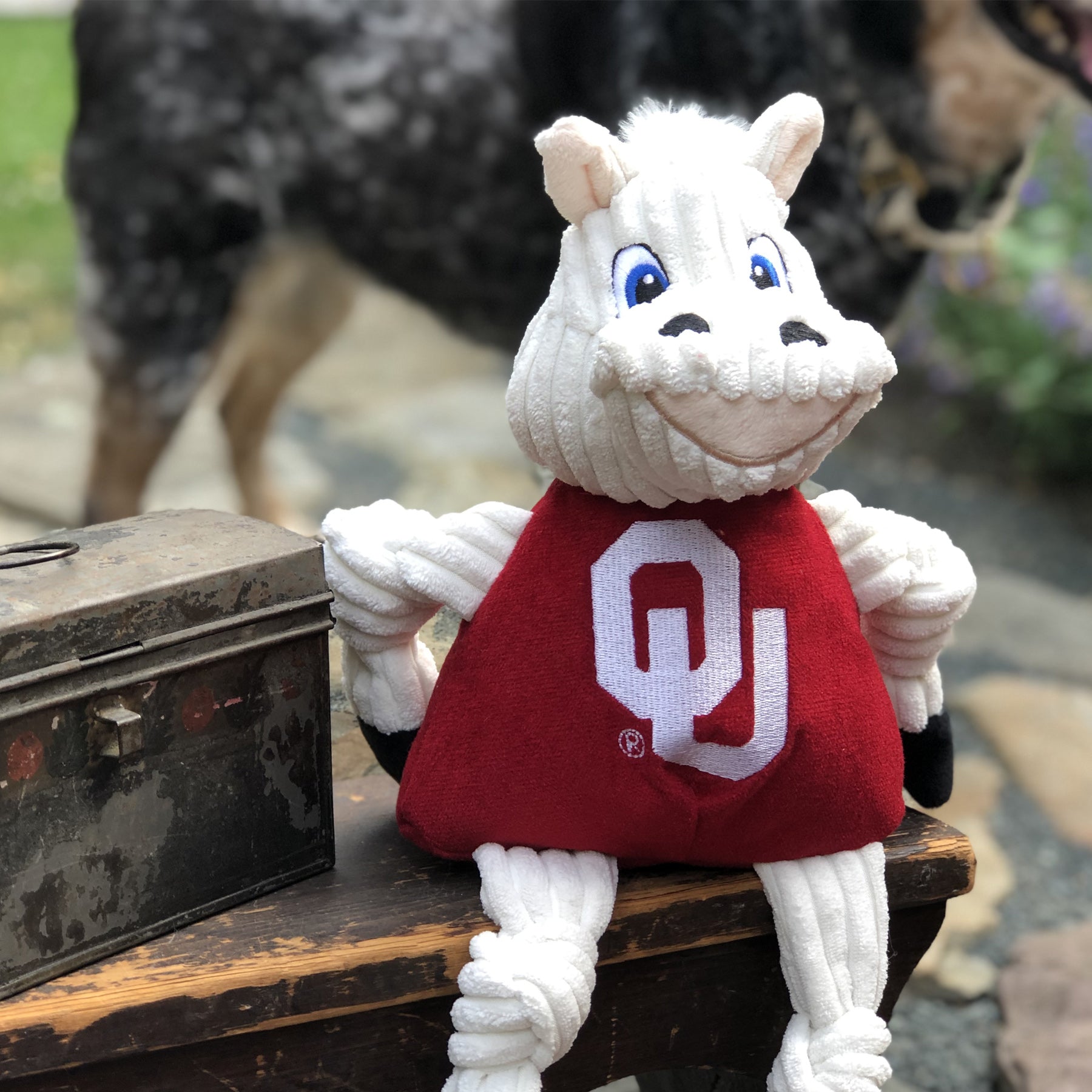 University of Oklahoma Sooner Knottie Plush Dog Toy, Large