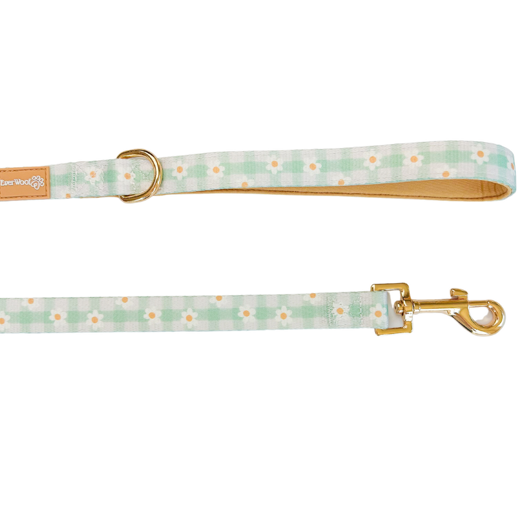 Oopsie Daisy Dog Leash with Padded Handle, 4'11" Length