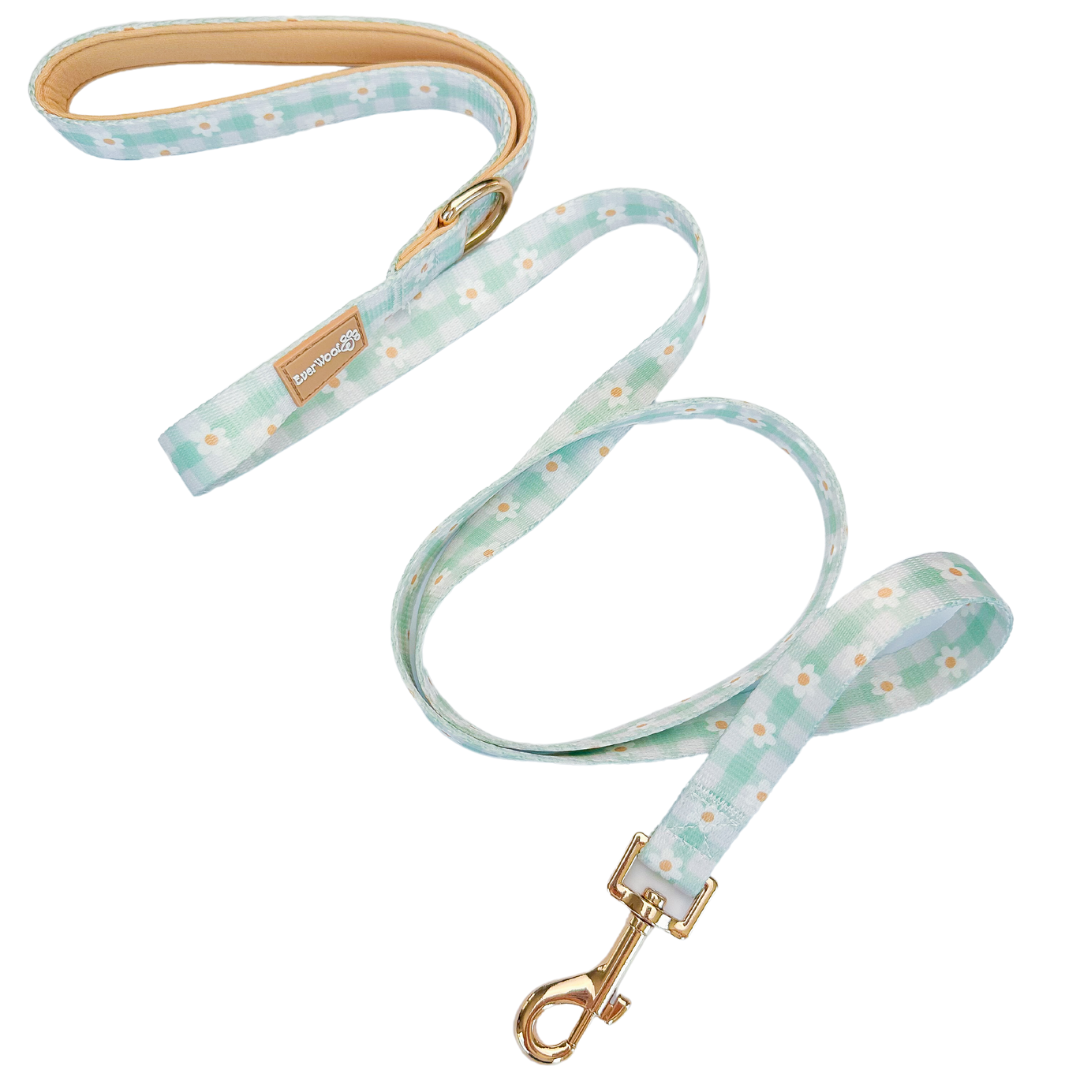 Oopsie Daisy Dog Leash with Padded Handle, 4'11" Length