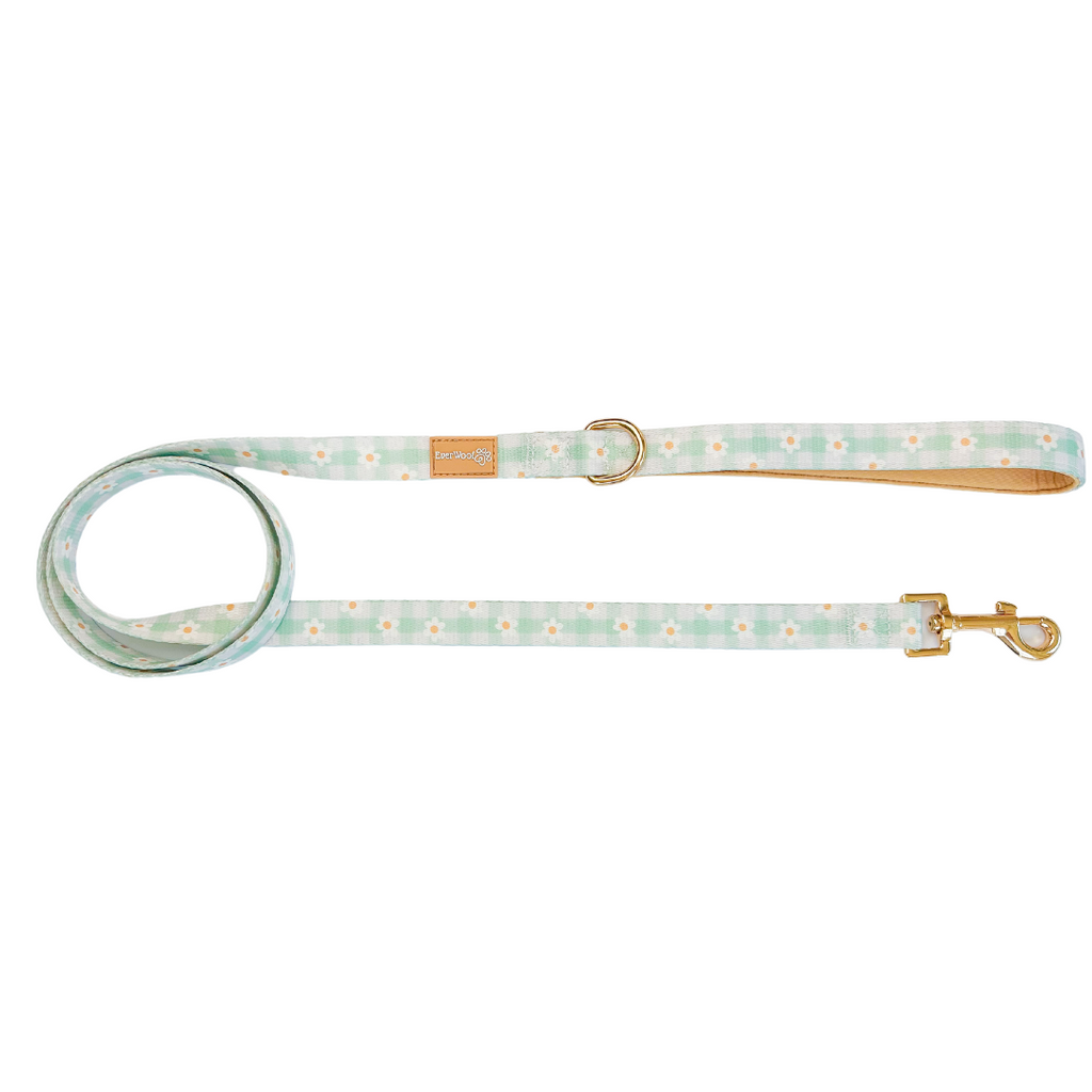 Oopsie Daisy Dog Leash with Padded Handle, 4'11" Length
