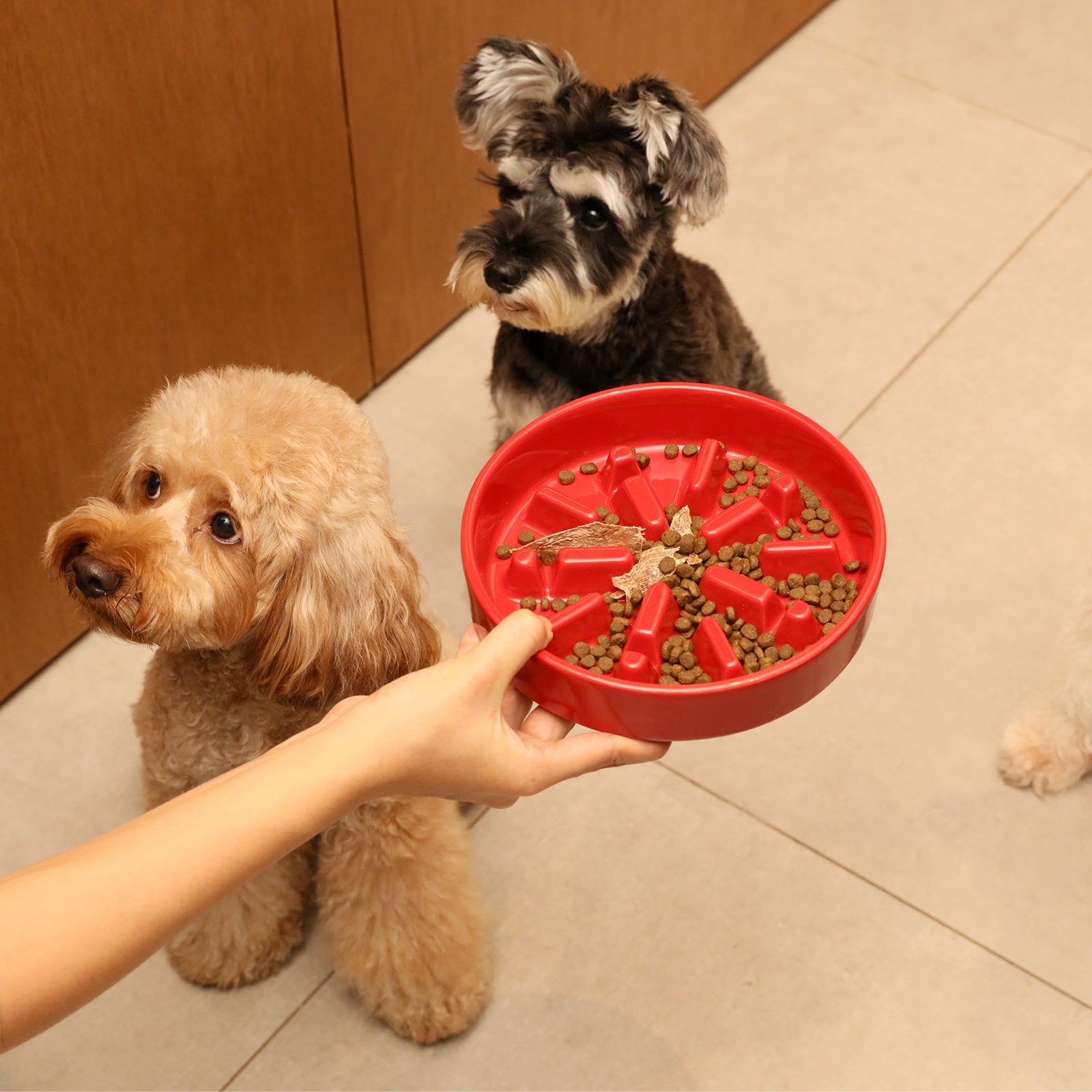 Ceramic Dog Bowl with Non-Slip Base and Optional Wooden Stand