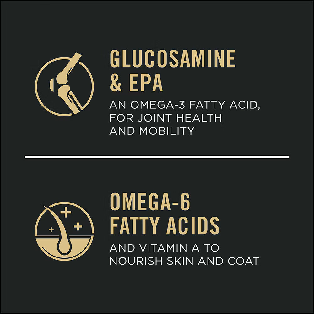 Active Dog Dry Food with Salmon for Endurance and Muscle Support