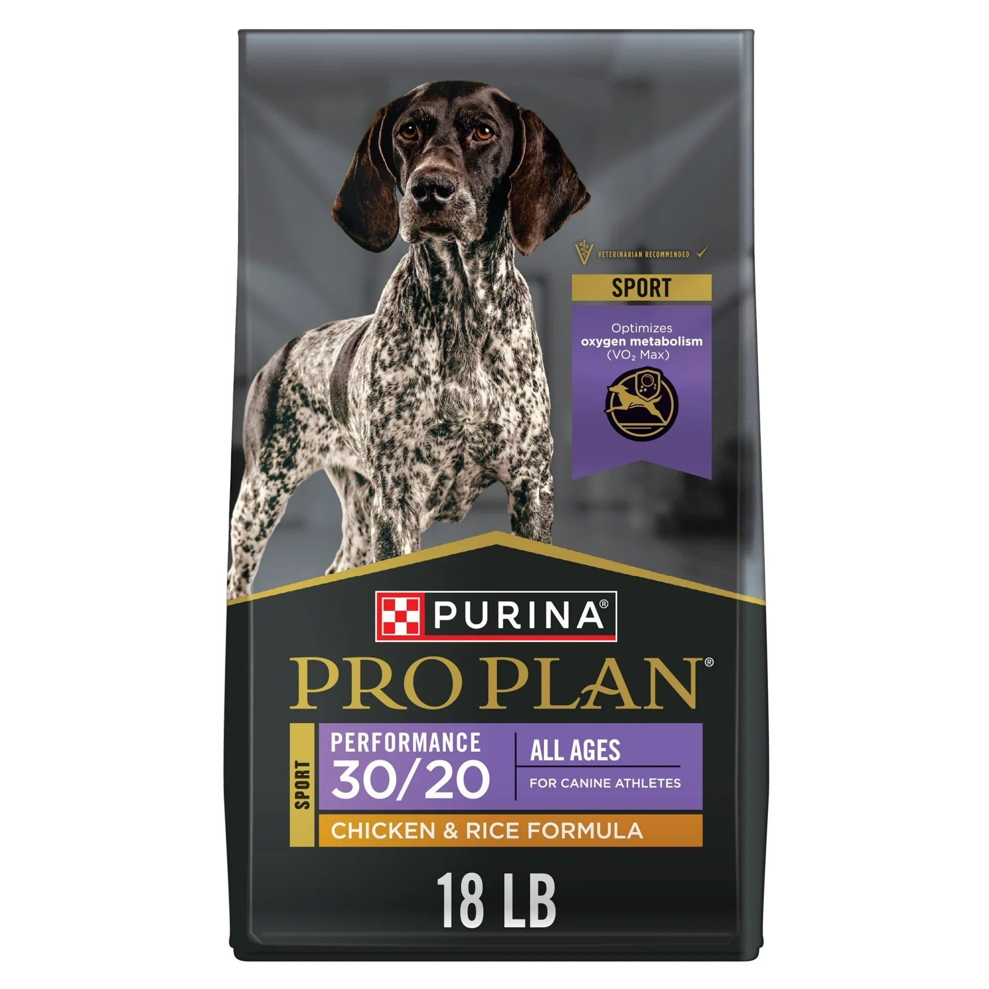 High-Protein Dry Dog Food with Real Chicken for Active Dogs