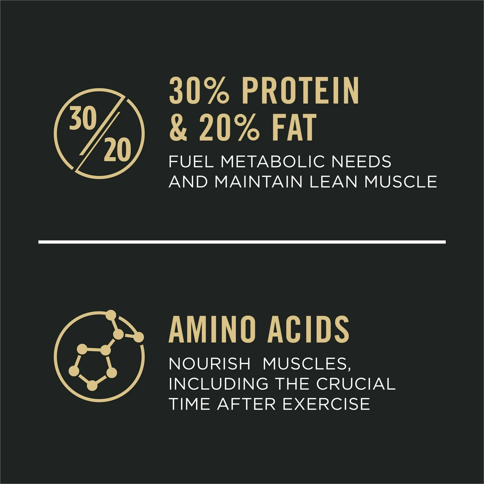 High-Protein Dry Dog Food with Real Chicken for Active Dogs