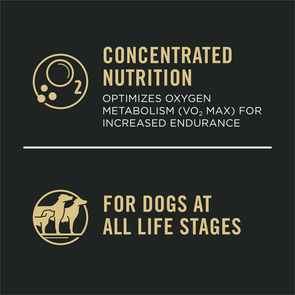High-Protein Dry Dog Food with Real Chicken for Active Dogs