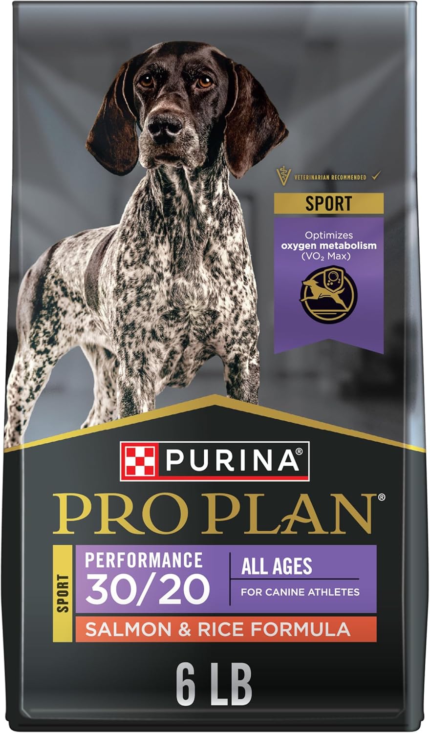 Active Dog Dry Food with Salmon for Endurance and Muscle Support