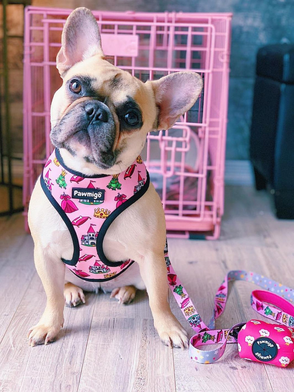 Fairytail Leash Kit