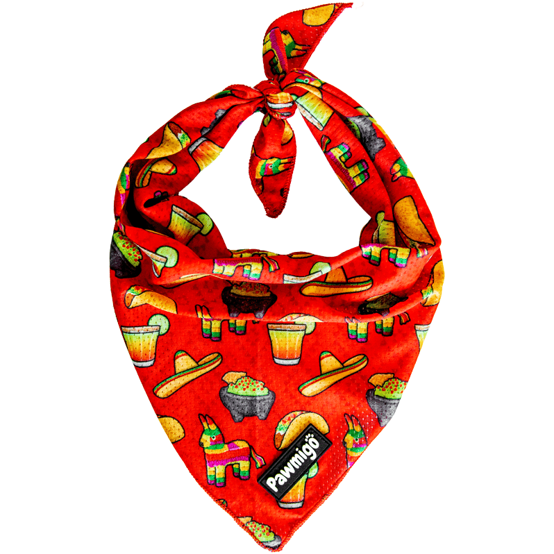 Taco Tuesday Cooling Dog Bandana – Mesh, Red Fiesta Print