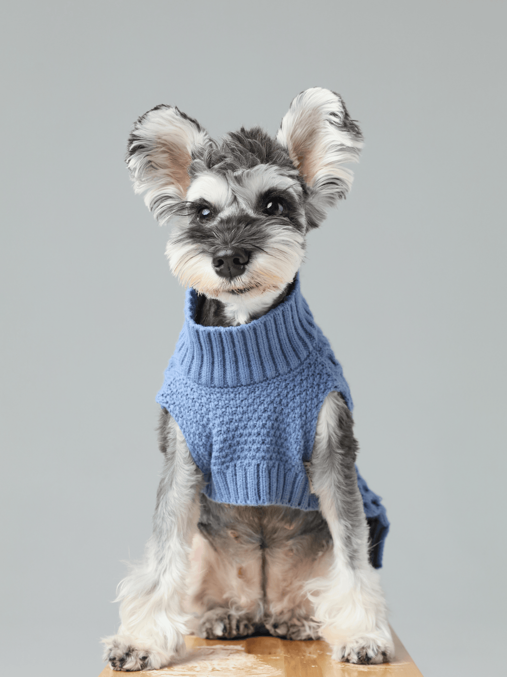 Knit Pet Sweater in Breathable Acrylic Fiber