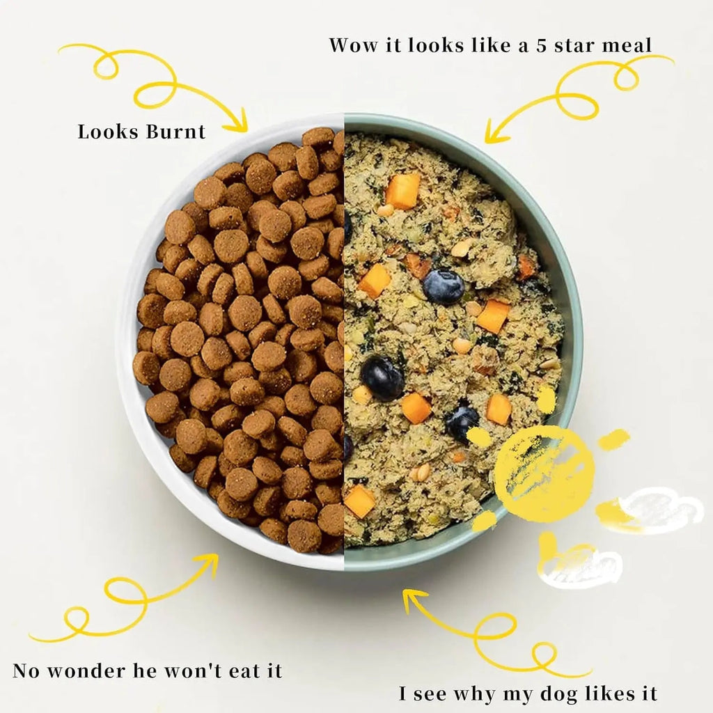 5-in-1 Pet Fresh Food Maker for Dogs and Cats, 2.5L Capacity