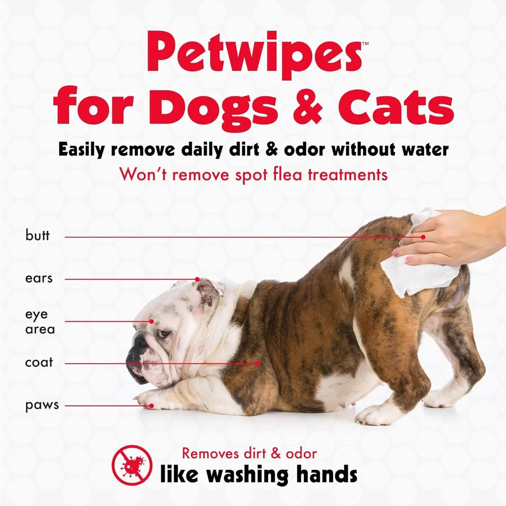 Large Pet Grooming Wipes with Aloe, 100-Pack