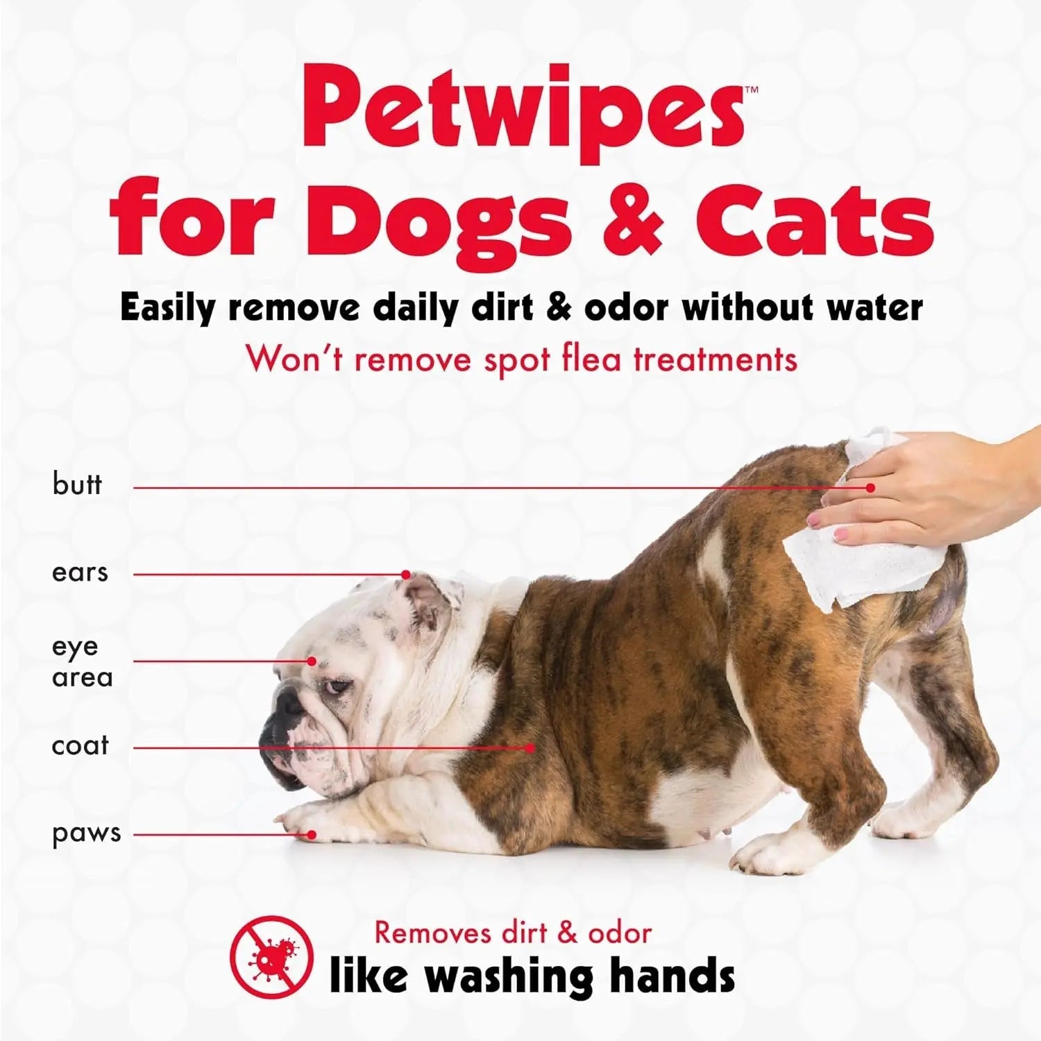 Large Pet Grooming Wipes with Aloe, 100-Pack