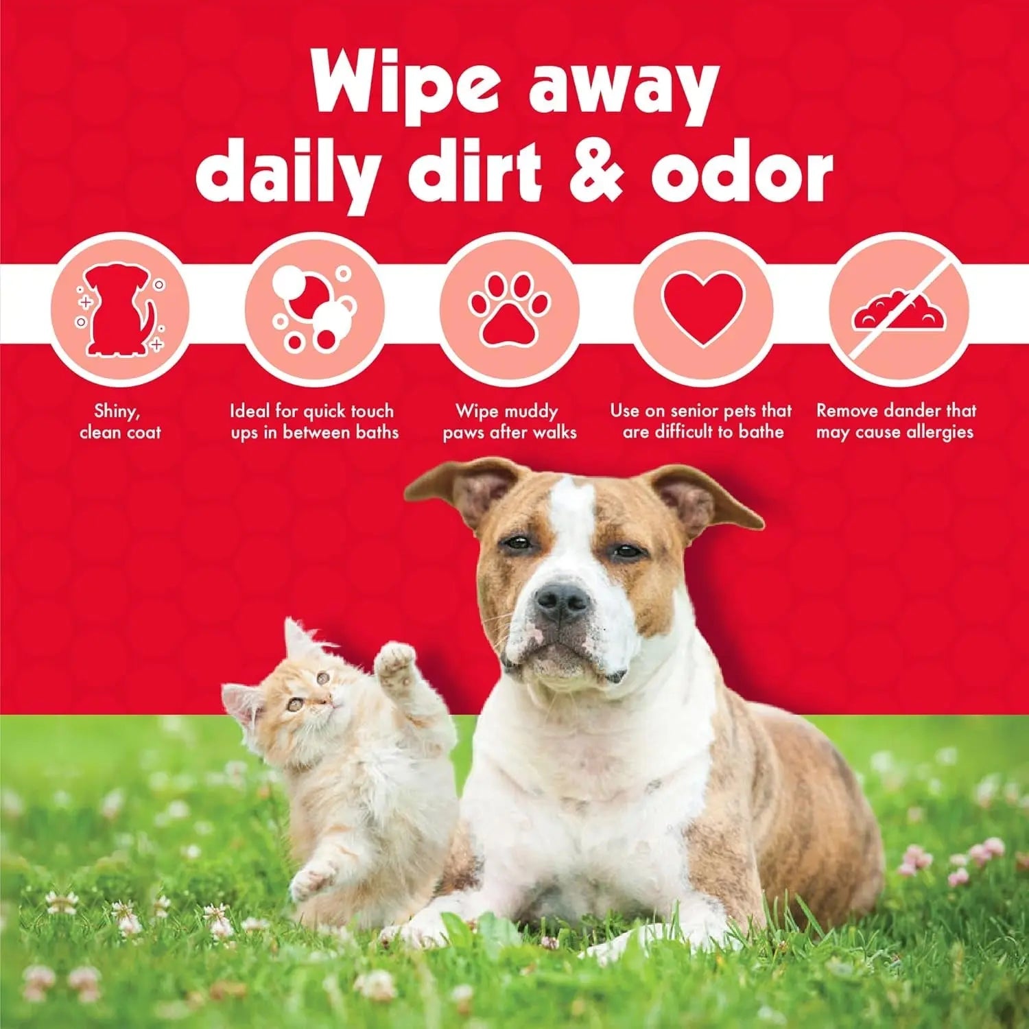 Large Pet Grooming Wipes with Aloe, 100-Pack