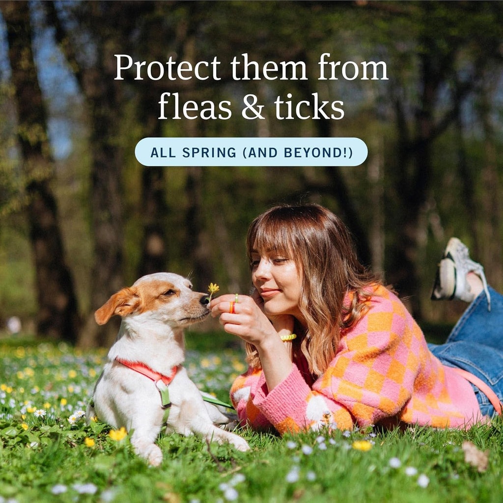 PetArmor Plus Flea & Tick Prevention for Dogs, 3 or 6 Dose Packs
