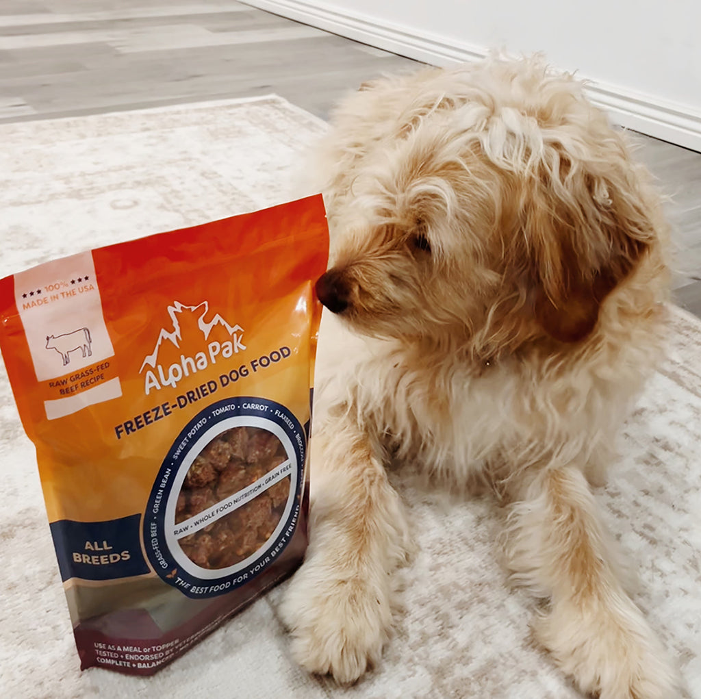 Raw Grain-Free Dog Food with Grass-Fed Beef and Organs