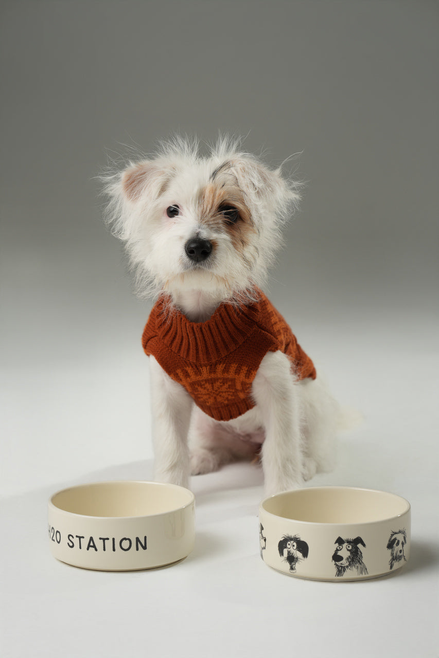 Ceramic Pet Bowl with Non-Slip Silicone Base