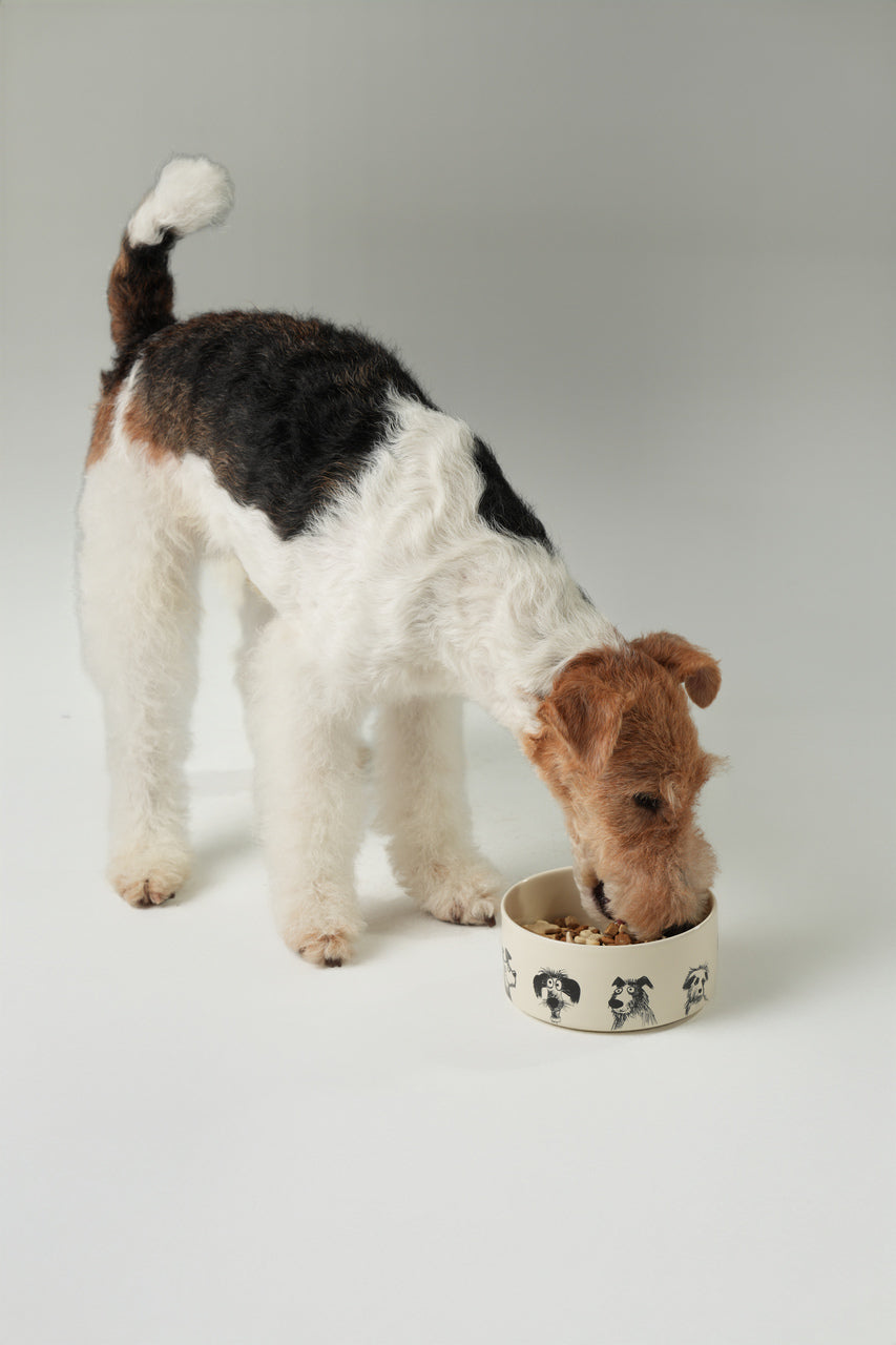 Ceramic Pet Bowl with Non-Slip Silicone Base