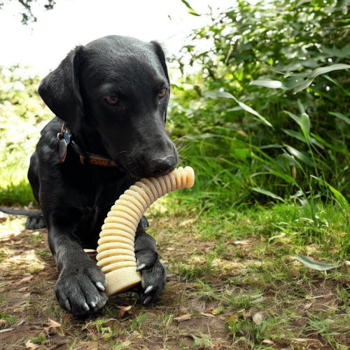 Flufflehorn Dental Antler Chew Toy for Medium to Large Dogs