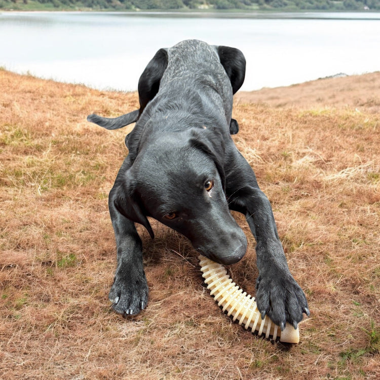 Flufflehorn Dental Antler Chew Toy for Medium to Large Dogs