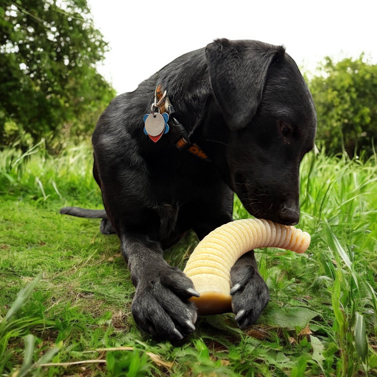 Flufflehorn Dental Antler Chew Toy for Medium to Large Dogs