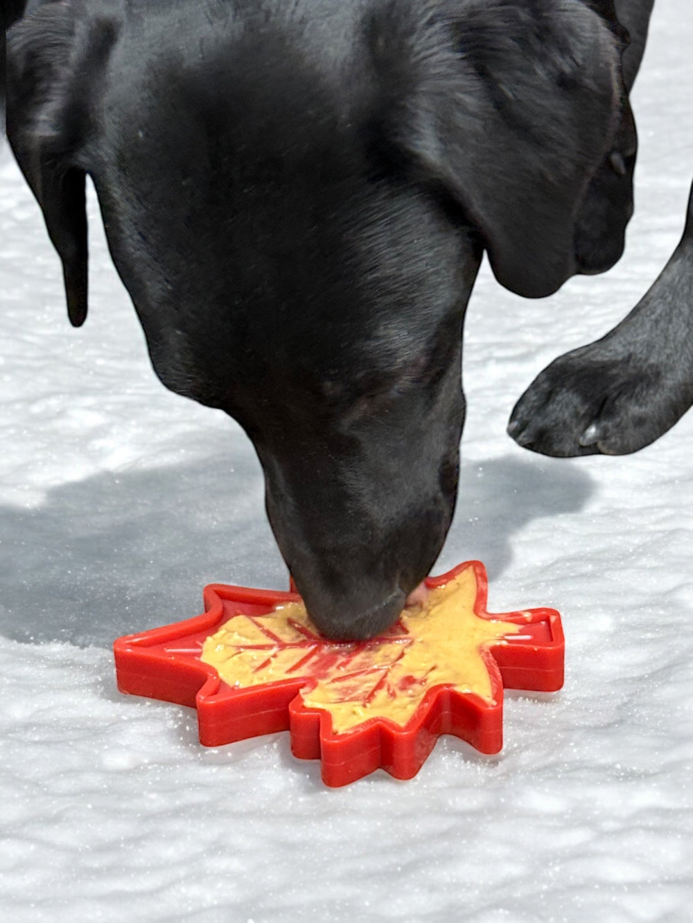Canadian Maple Leaf Nylon Dog Chew Toy – Durable, Treat-Dispensing