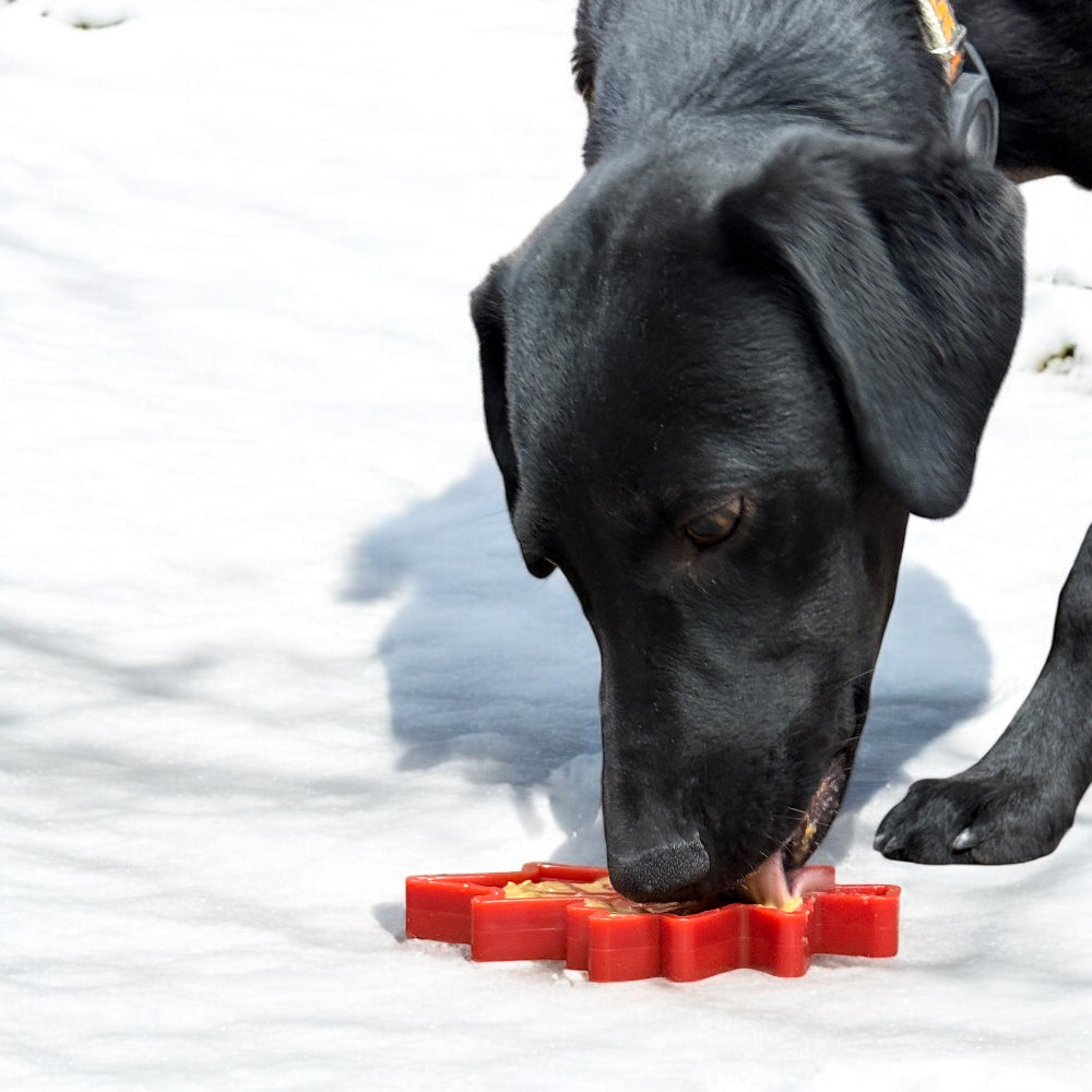 Canadian Maple Leaf Nylon Dog Chew Toy – Durable, Treat-Dispensing