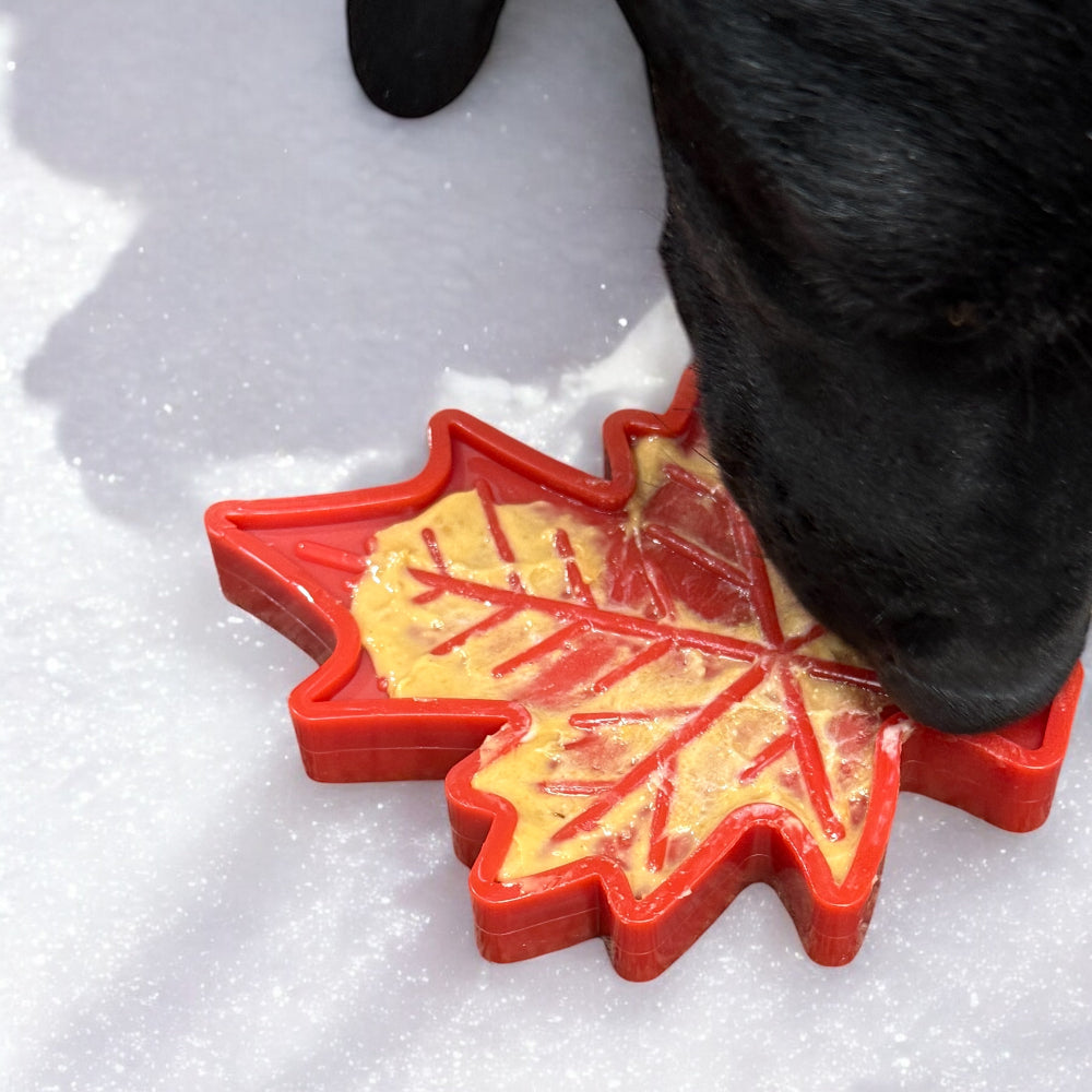 Canadian Maple Leaf Nylon Dog Chew Toy – Durable, Treat-Dispensing