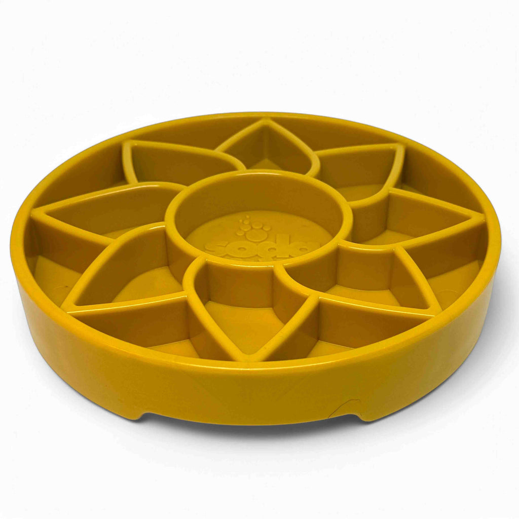 Sunflower Shallow Slow Feeder Bowl for Dogs, 8" Diameter