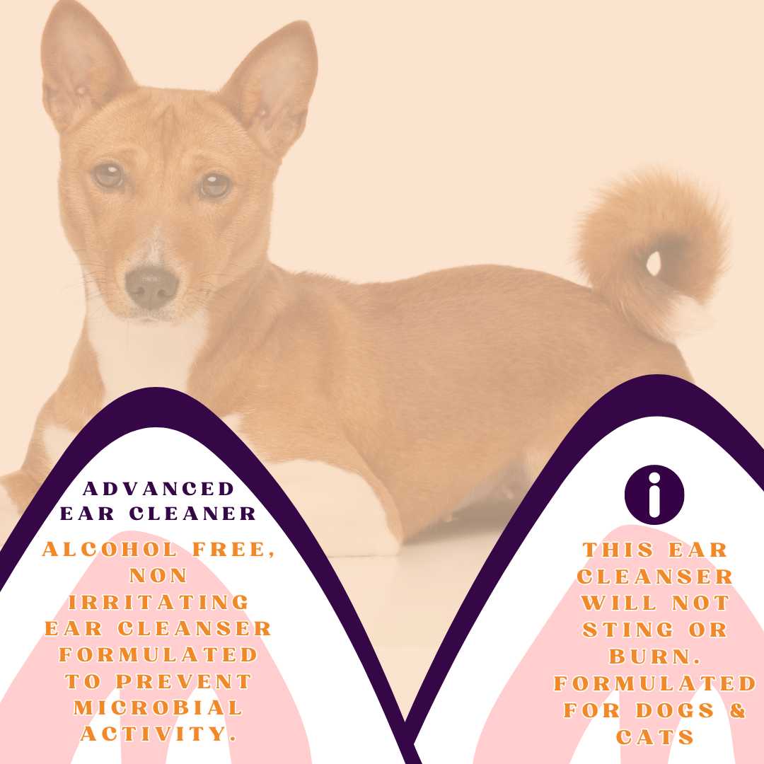 Alcohol-Free Pet Ear Cleaner with Bandana, 8oz