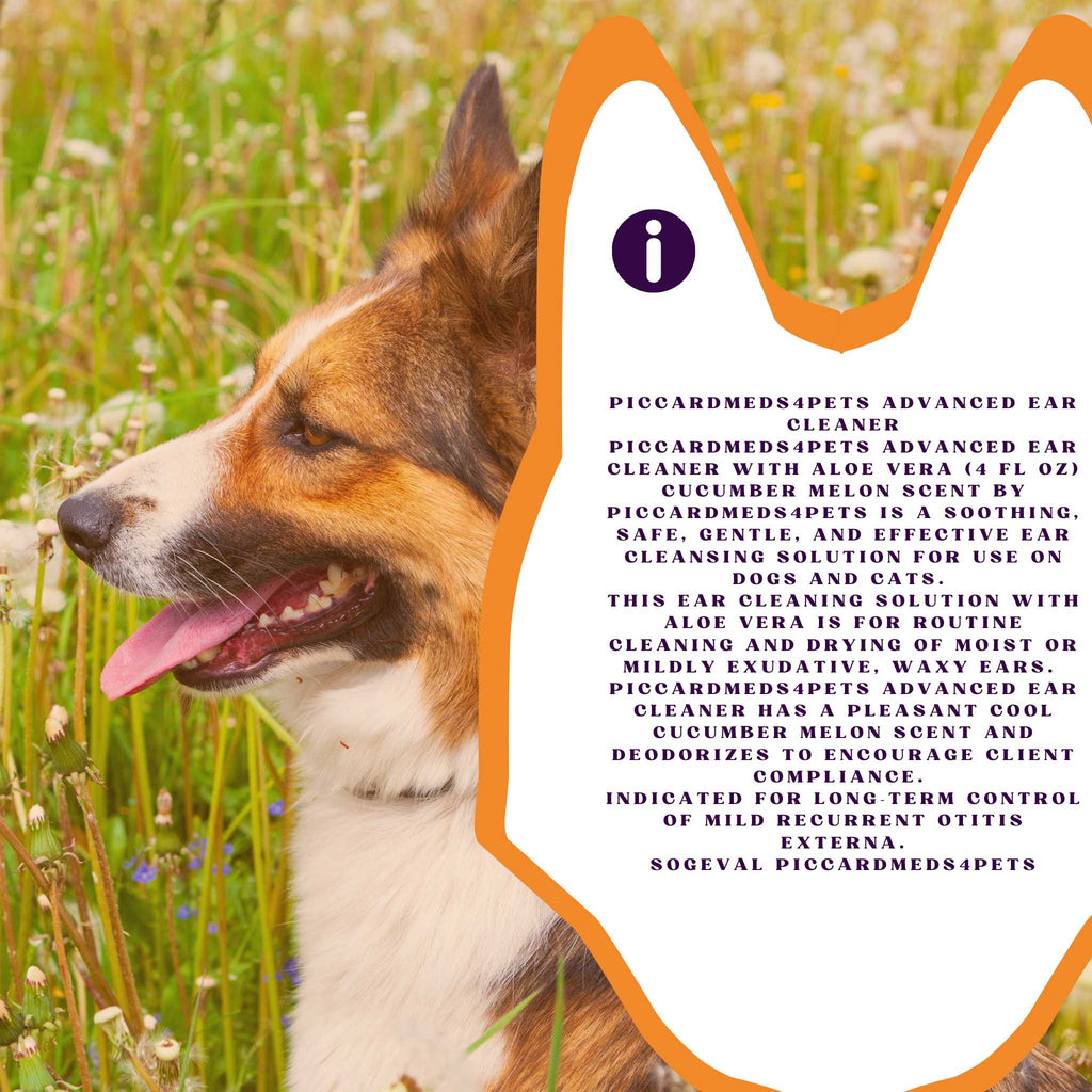 Pet Ear Cleaner with Aloe Vera for Dogs & Cats, 4oz + Bandana
