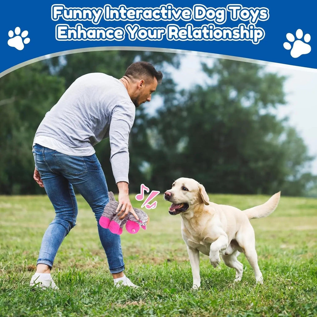 Plush Crinkle and Squeaky Dog Toy for All Life Stages