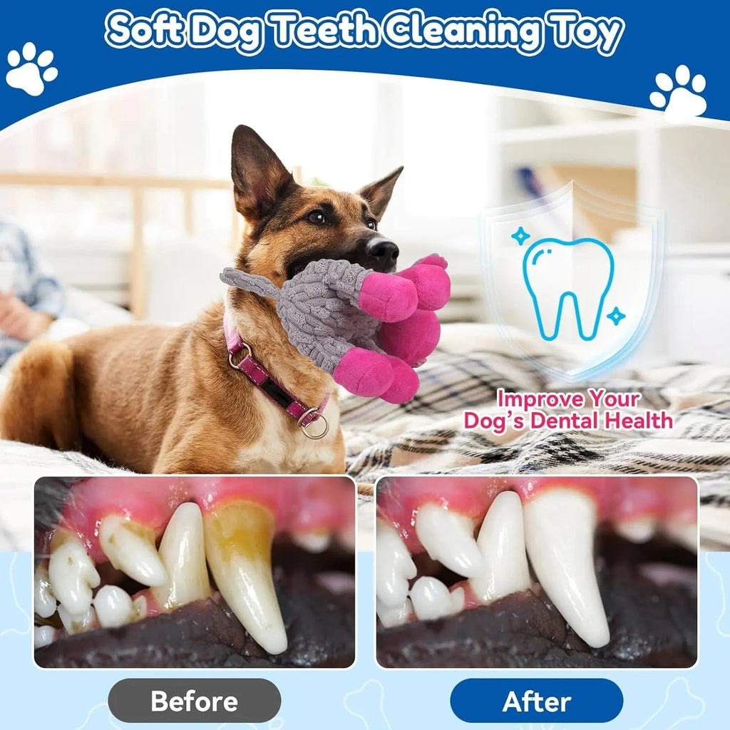 Plush Crinkle and Squeaky Dog Toy for All Life Stages