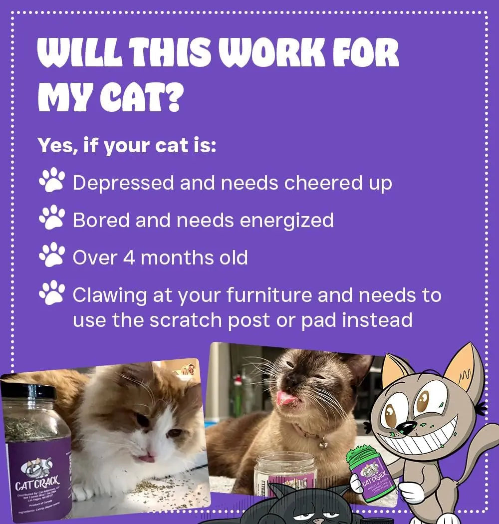 Natural Catnip Blend for Cats – North American, 100% Non-GMO