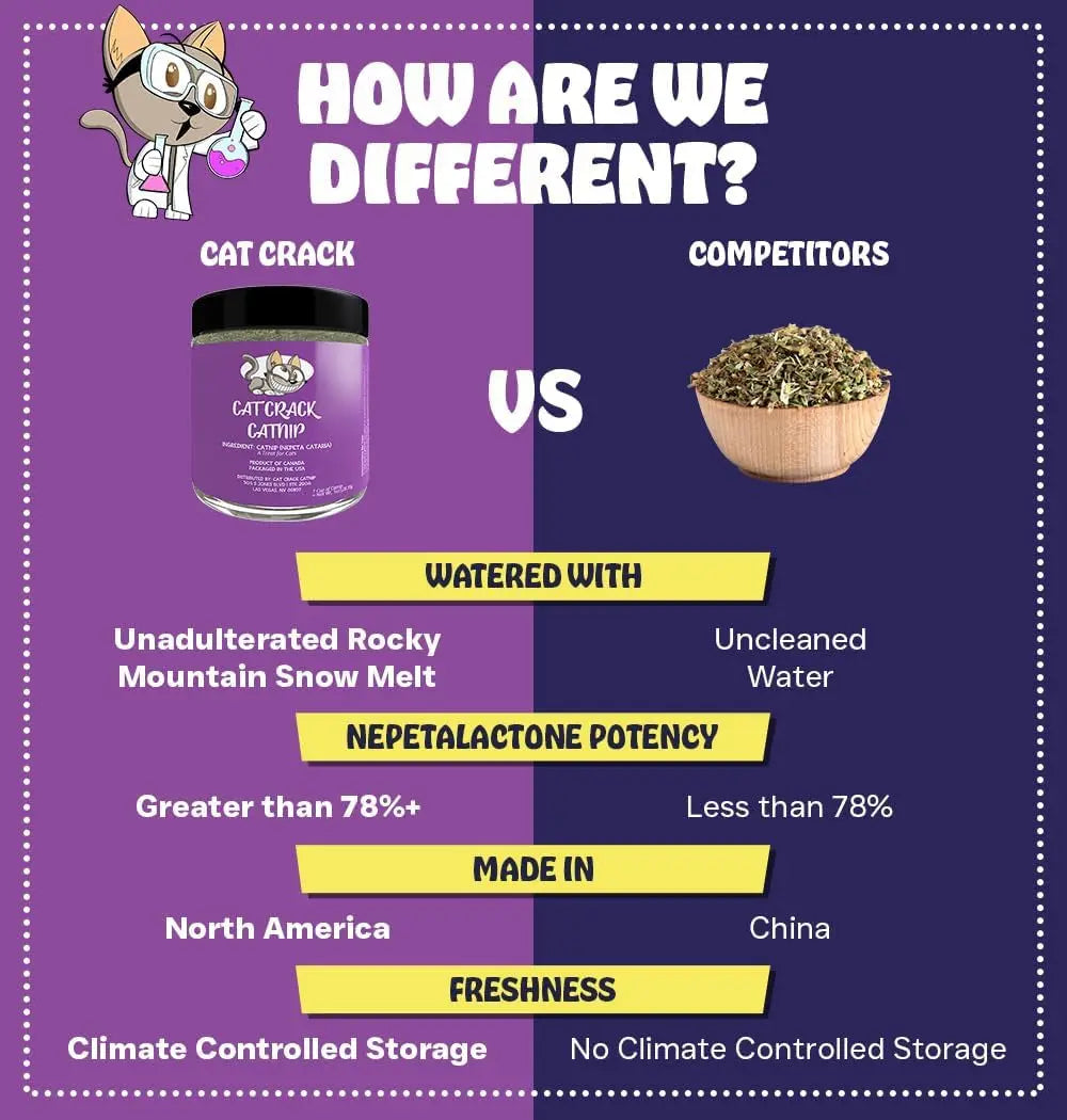 Natural Catnip Blend for Cats – North American, 100% Non-GMO