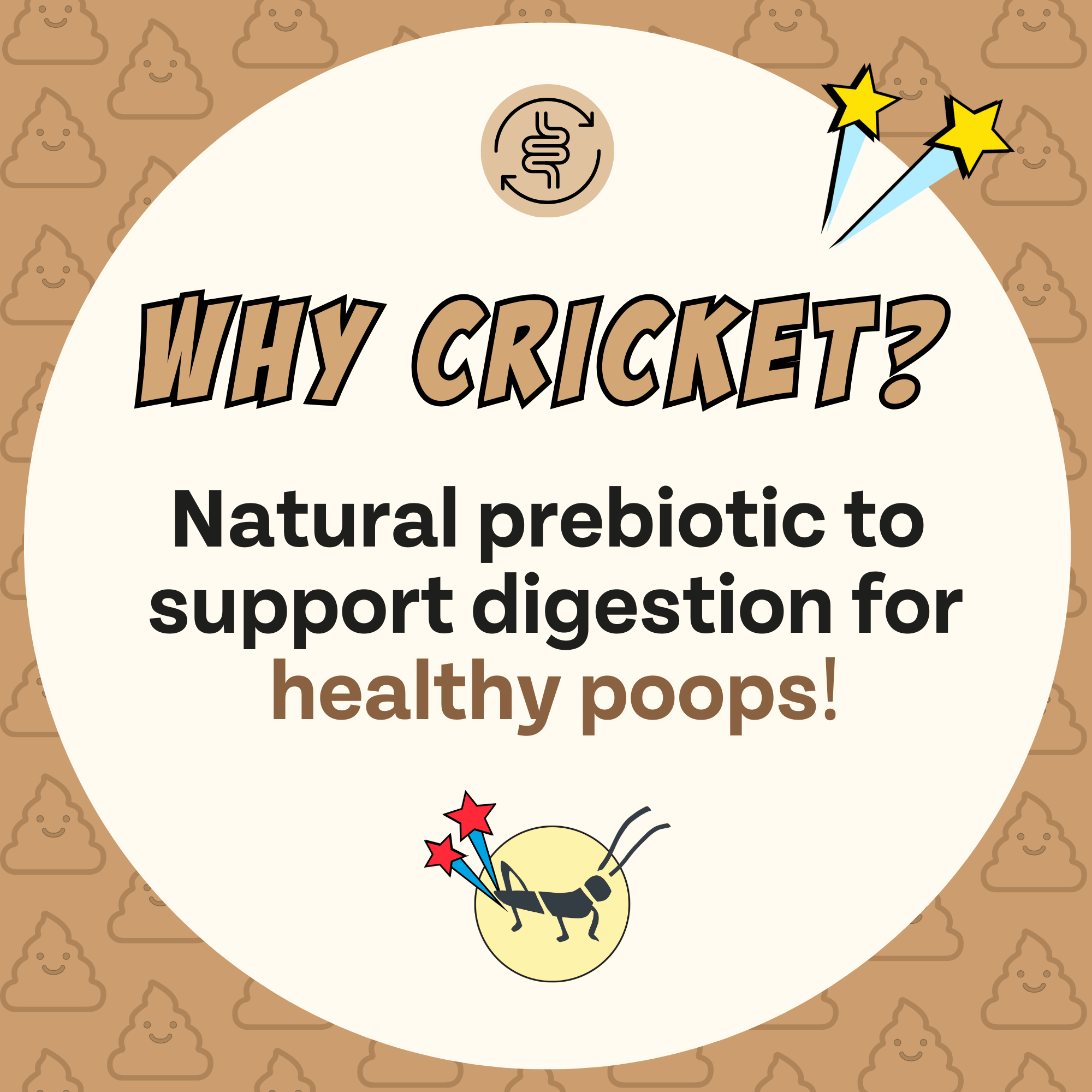 Oven-Baked Cricket Protein Dog Treats with Pumpkin & Oats