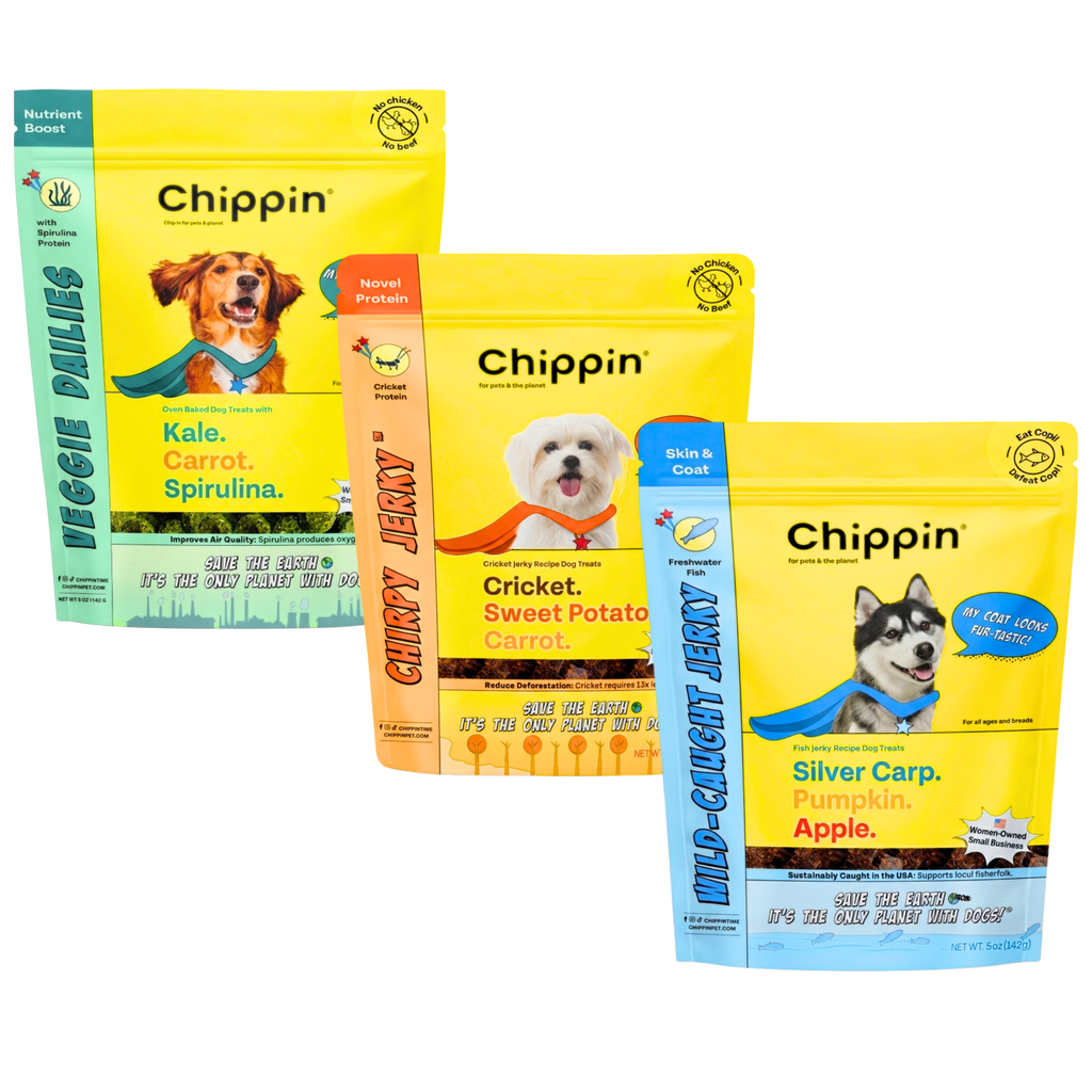 Protein Starter Pack Dog Treats – Cricket, Spirulina & Silver Carp