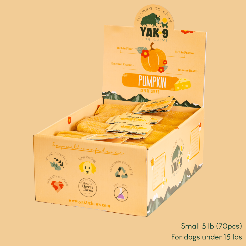 Pumpkin Yak Cheese Dog Chews with Organic Pumpkin