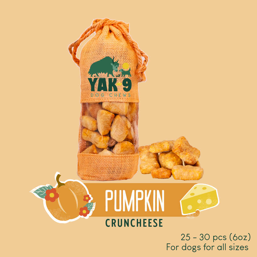 Pumpkin Yak Cheese Dog Chews with Organic Pumpkin