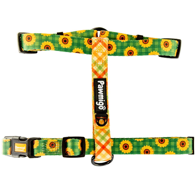 Pupkin Patch Free-Fit Harness with Sunflower & Rainbow Plaid Design