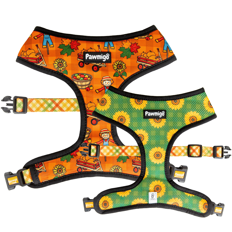 Pupkin Patch Reversible Dog Harness – Autumn & Sunflower Prints