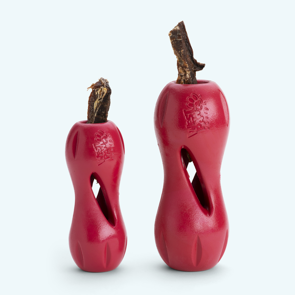 Qwizl Durable Treat Toy for Dogs Who Love to Chew