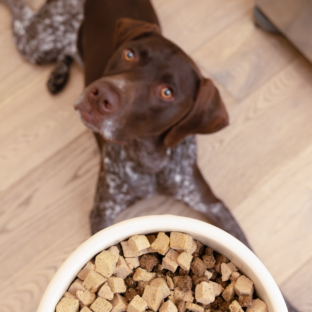 Rawbiotic Bites Dog Meal Topper with Probiotics and Real Ingredients