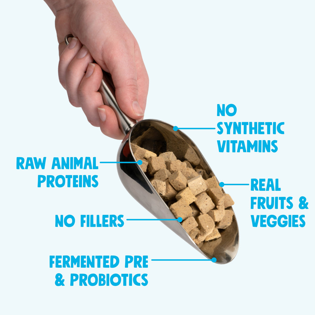 Rawbiotic Bites Dog Meal Topper with Probiotics and Real Ingredients